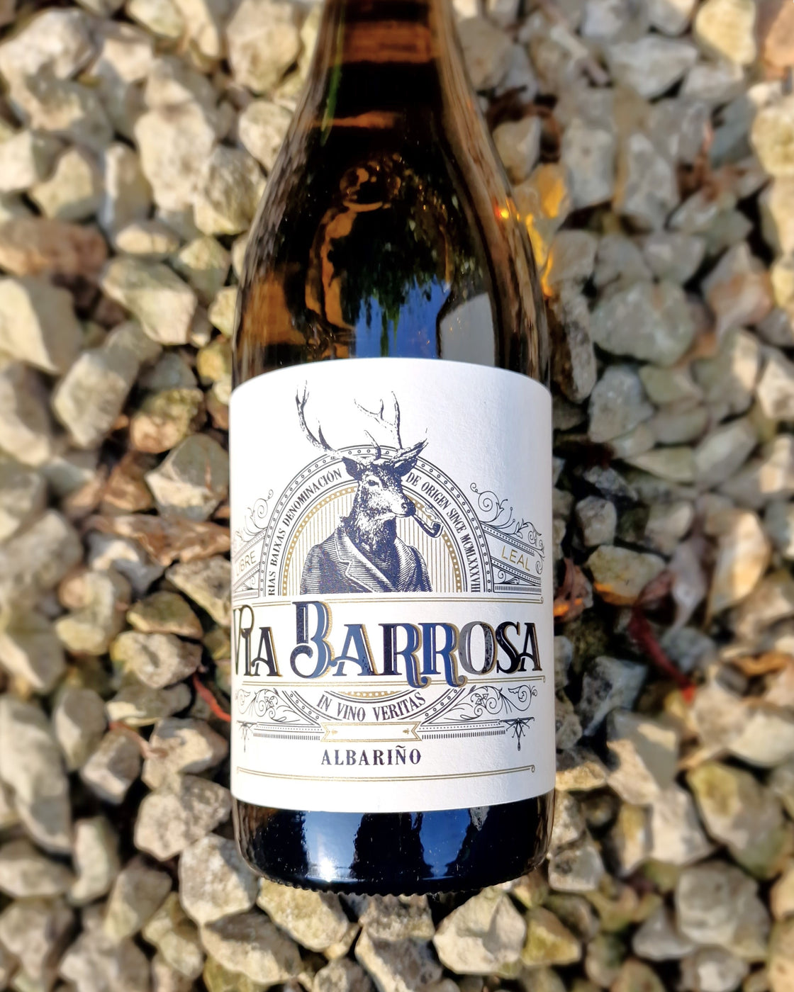 Via Barrosa Albarino, Bodegas Vina Costeira — Addison Wines