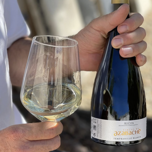 Person holding a bottle and glass of azabache tempranillo rioja blanco