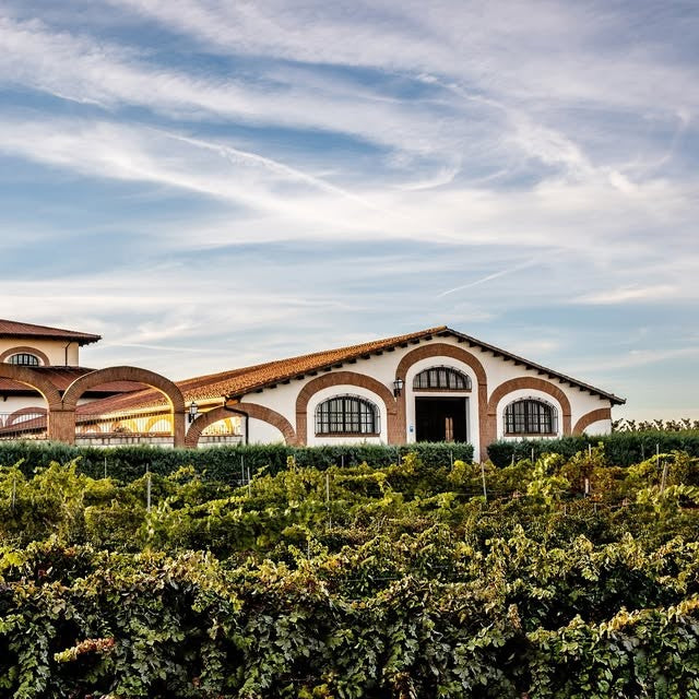 Toro 'Colegiata' Tinto, Bodegas Farina