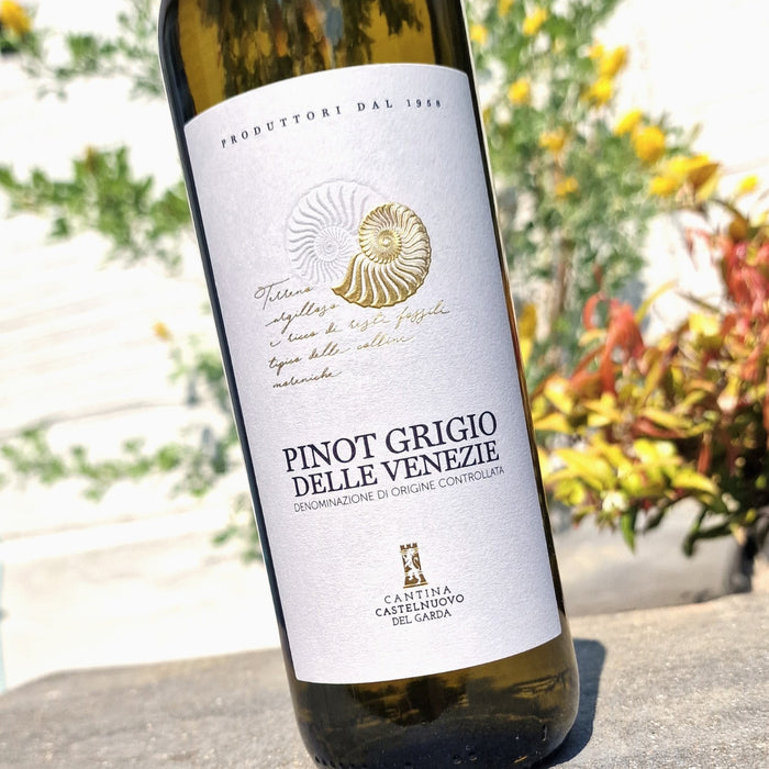 Pinot Grigio delle Venezie DOC, Terre di Castelnuovo