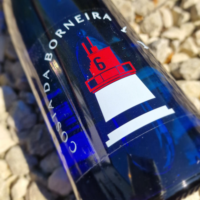 Costa de Borneira, Bodegas Villanueava