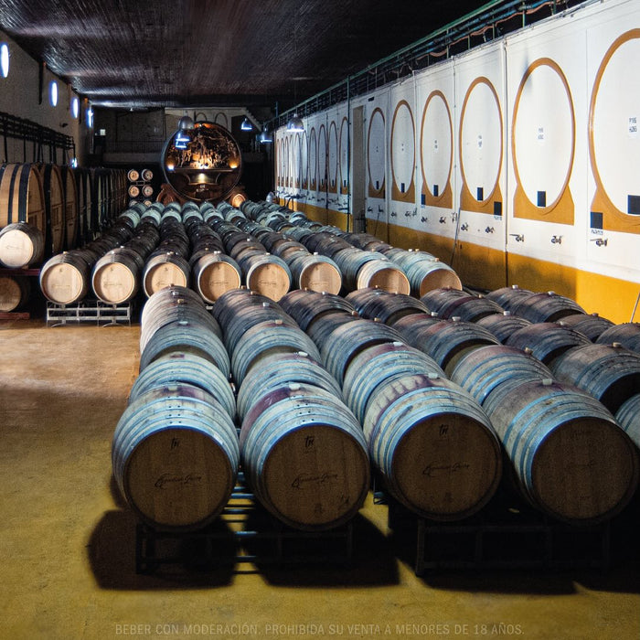 Escorihuela Gascon Malbec Grand Reserve