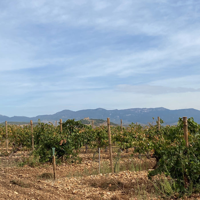 Marques de Caceres 'Excellens'  Rioja Blanco