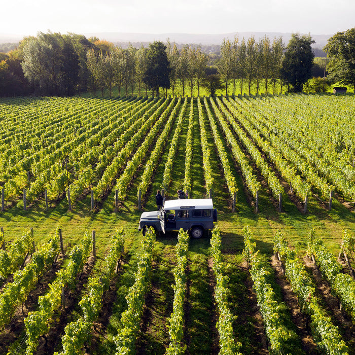 Nyetimber Classic Cuvée — Addison Wines