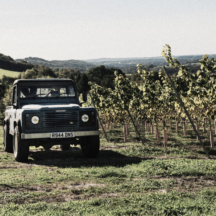 'Silurian' Grande Cuvee 2023, Upper Southwood Estate