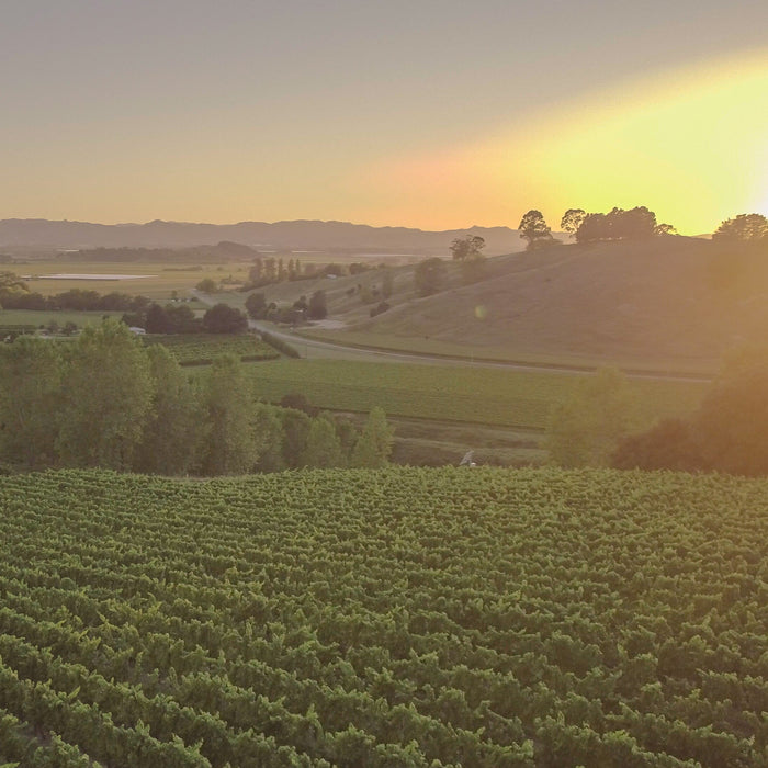 Stoney River Pinot Gris, Gisborne