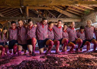 Azul de Ventozelo Douro Tinto